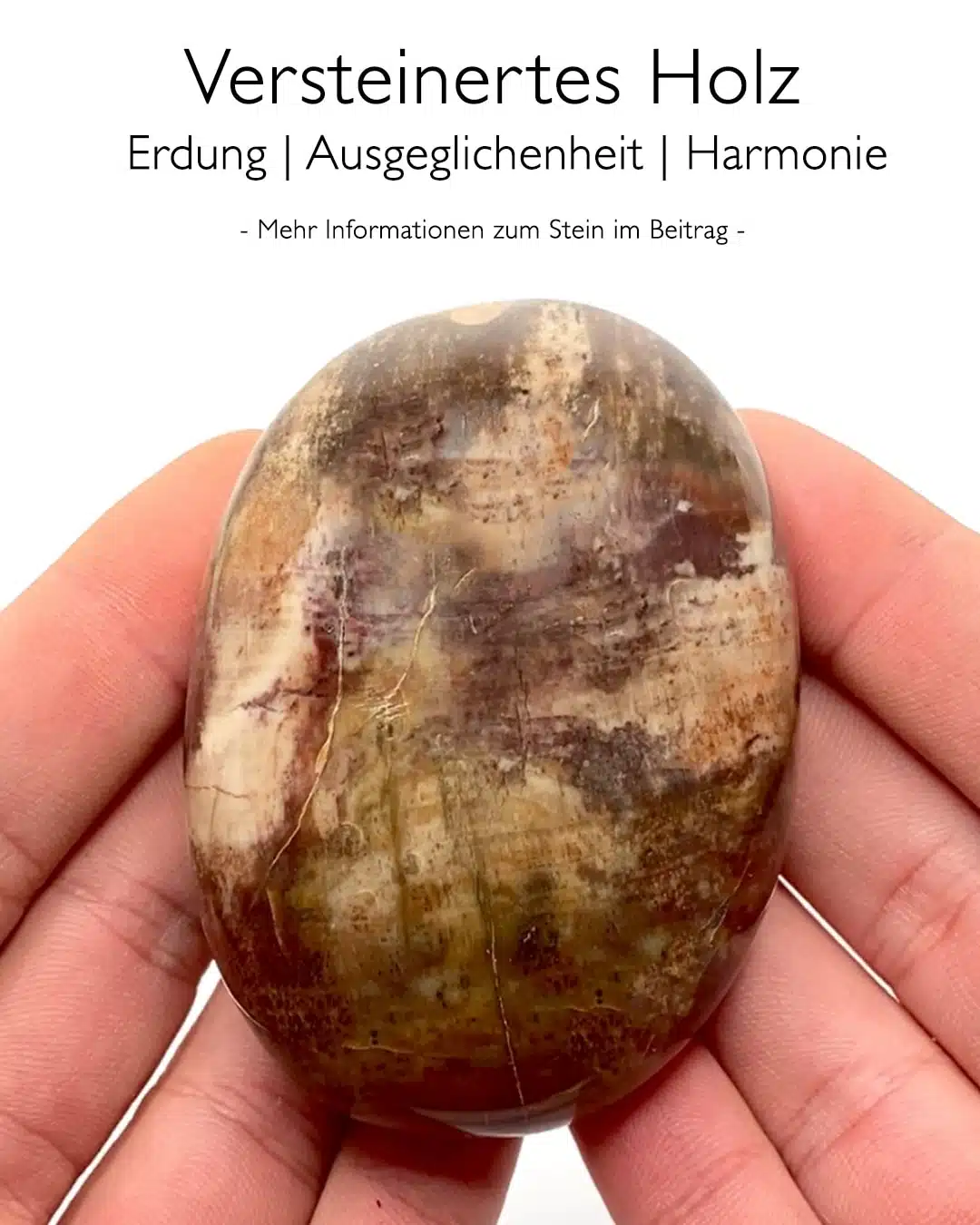 Versteinertes Holz - Wirkung