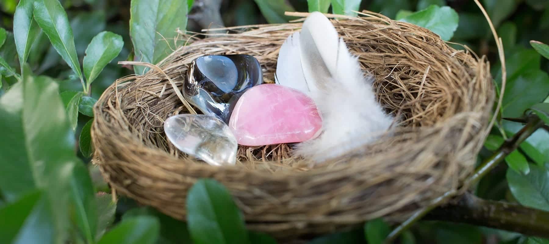 Vogelnest für die Fruchtbarkeit Vogelnest für die Fruchtbarkeit