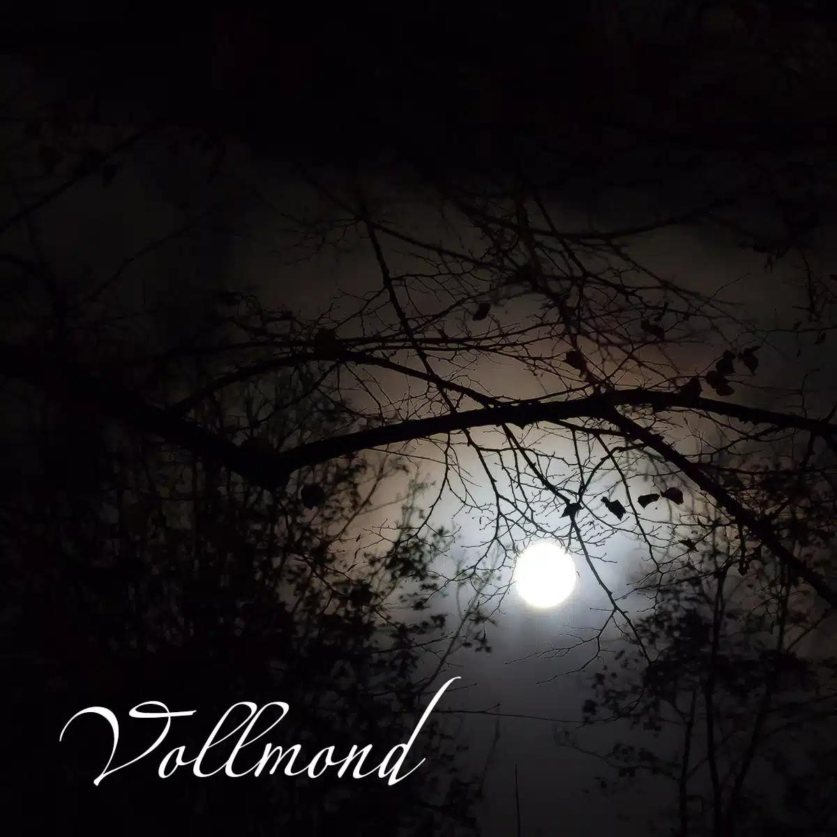 Der Vollmond im November