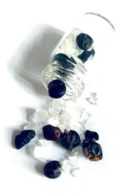 Wacholder - Juniperus communis Wacholder Schutz