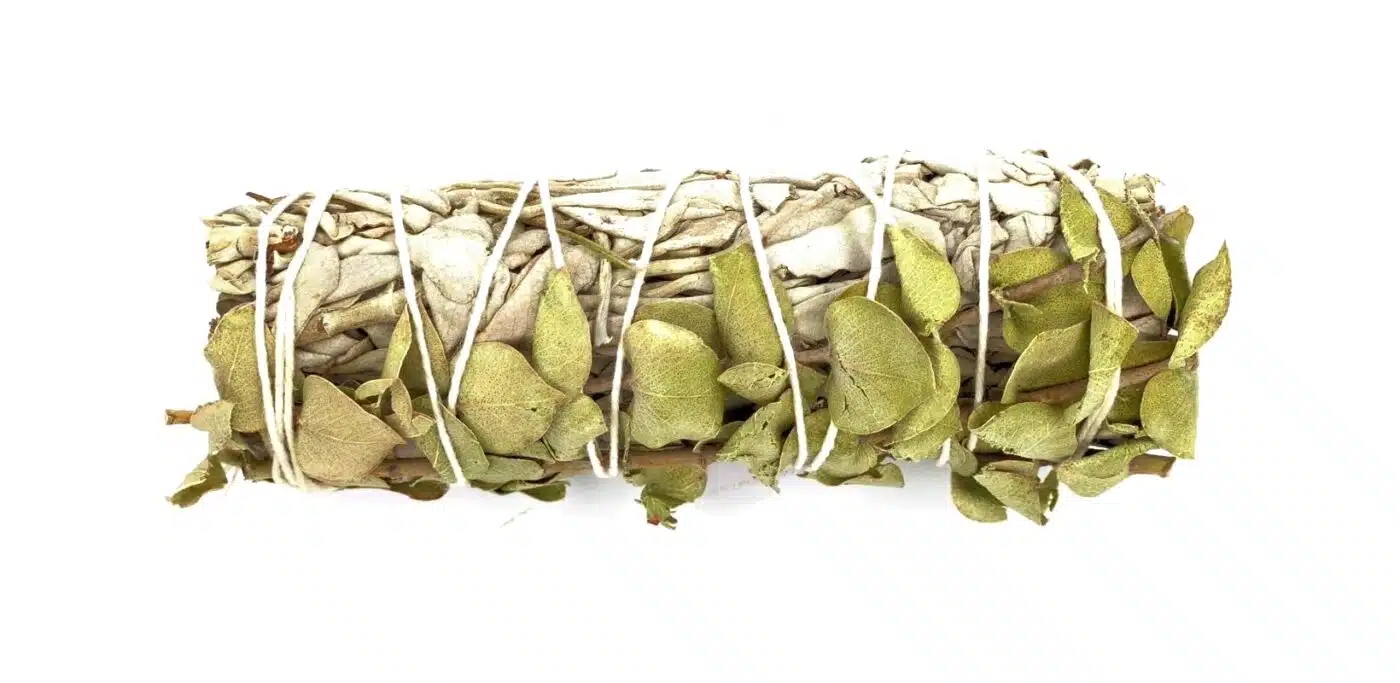 Weisser Salbei mit Eukalyptus Räucherbündel