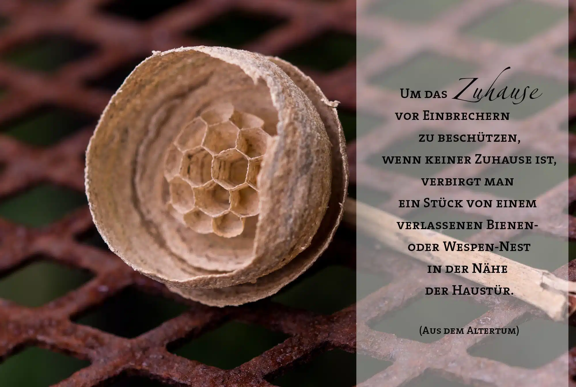 Sommersonnenwende 20. / 21. Juni