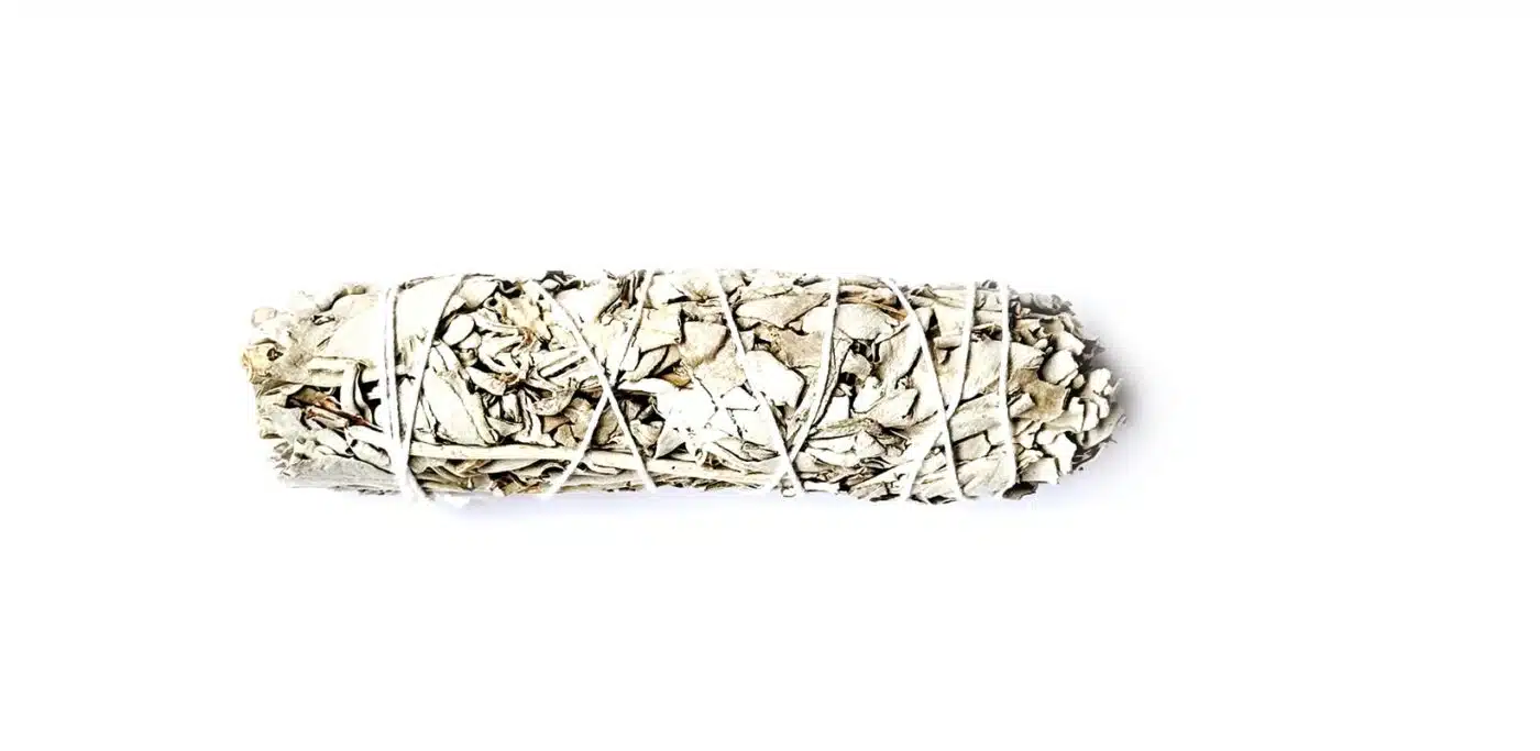 Weißer Salbei – Salvia apiana Shamanic White Sage Smudge (groß) Salbei