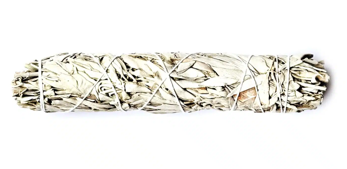 Shamanic White Sage Smudge (XL) Salbei