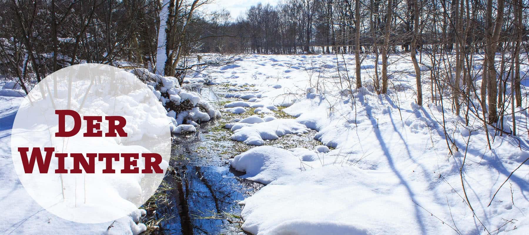 Der Winter in der Magie Der Winter in der Magie