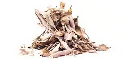 Shamanic White Sage (30 Gramm, lose), Salbei, weißer Salbei